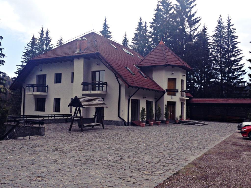 Daria Poiana