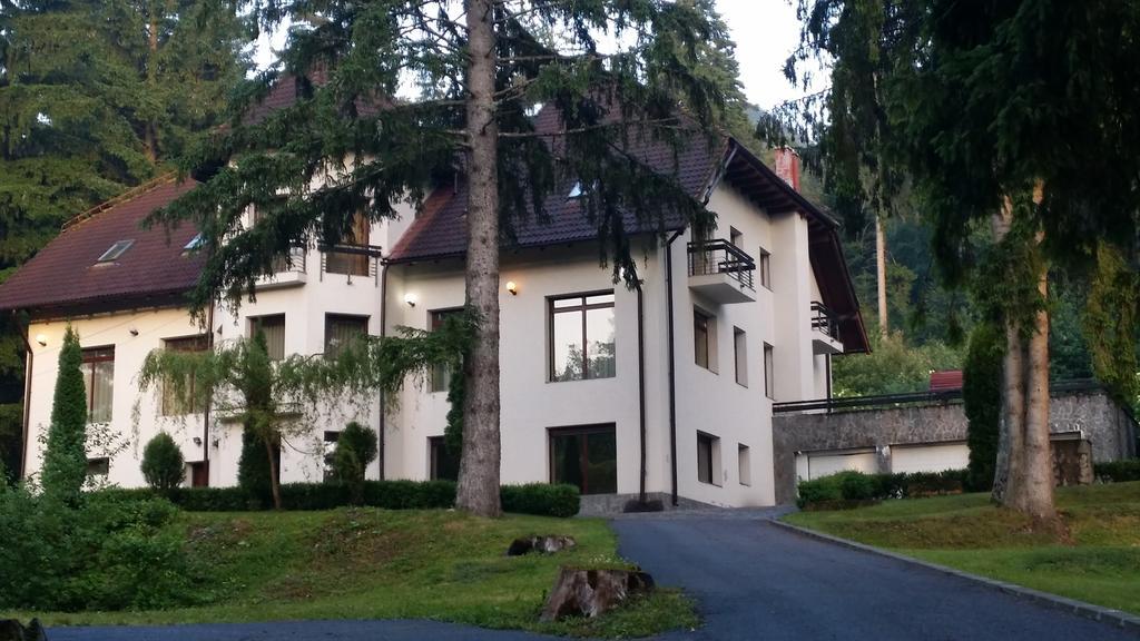 Daria Poiana Brasov